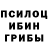 Галлюциногенные грибы Cubensis Ihtisham Dahir