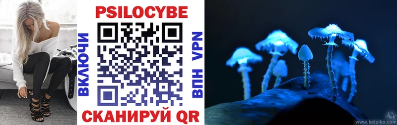 Псилоцибиновые грибы прущие грибы  блэк спрут   Алейск  где продают  