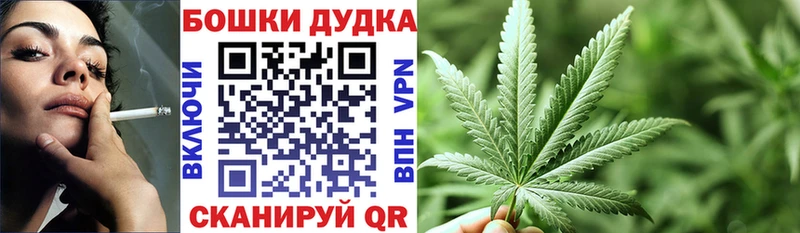 что такое   Алейск  Каннабис SATIVA & INDICA 